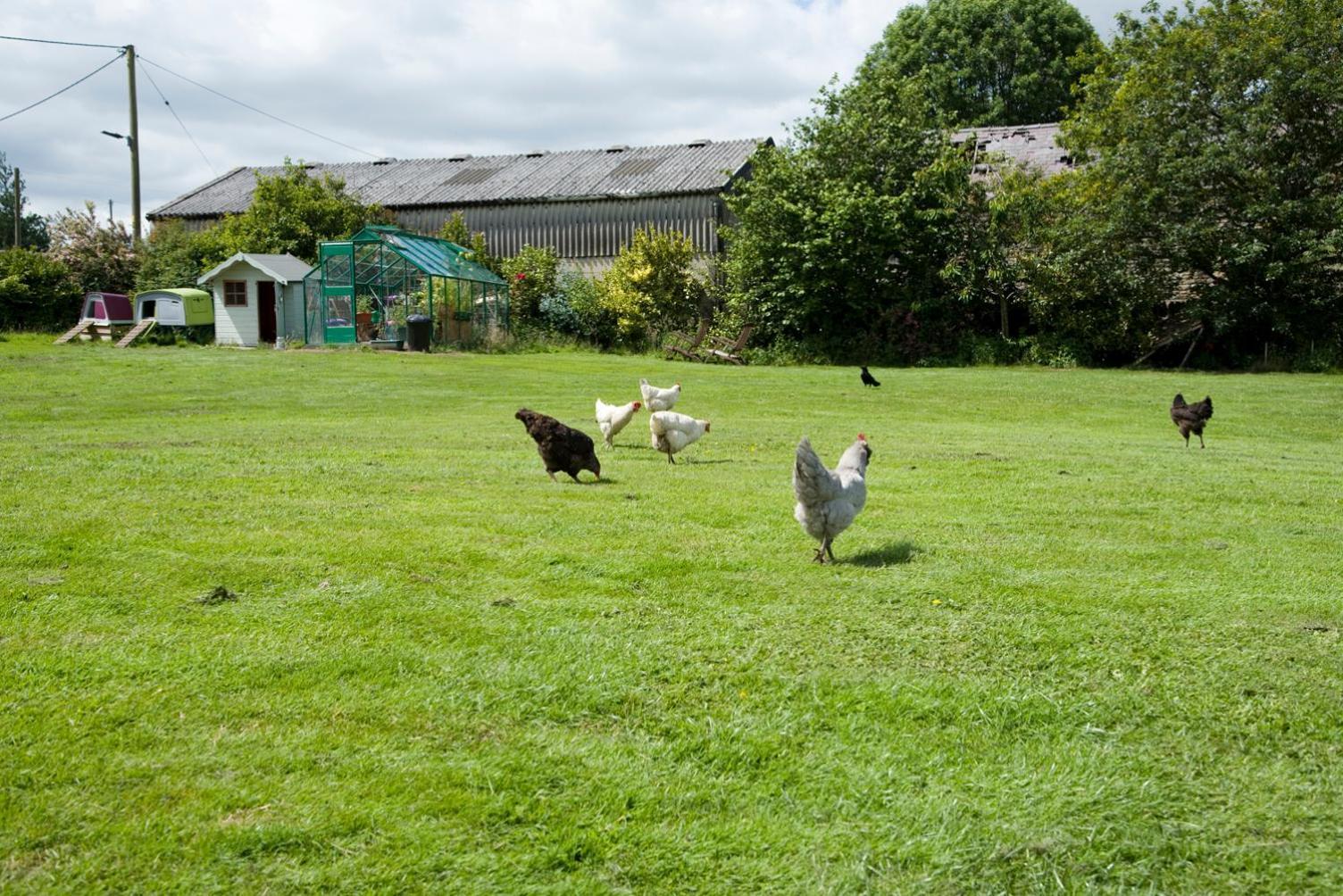 Padley Farm Leilighet Bradfield Eksteriør bilde