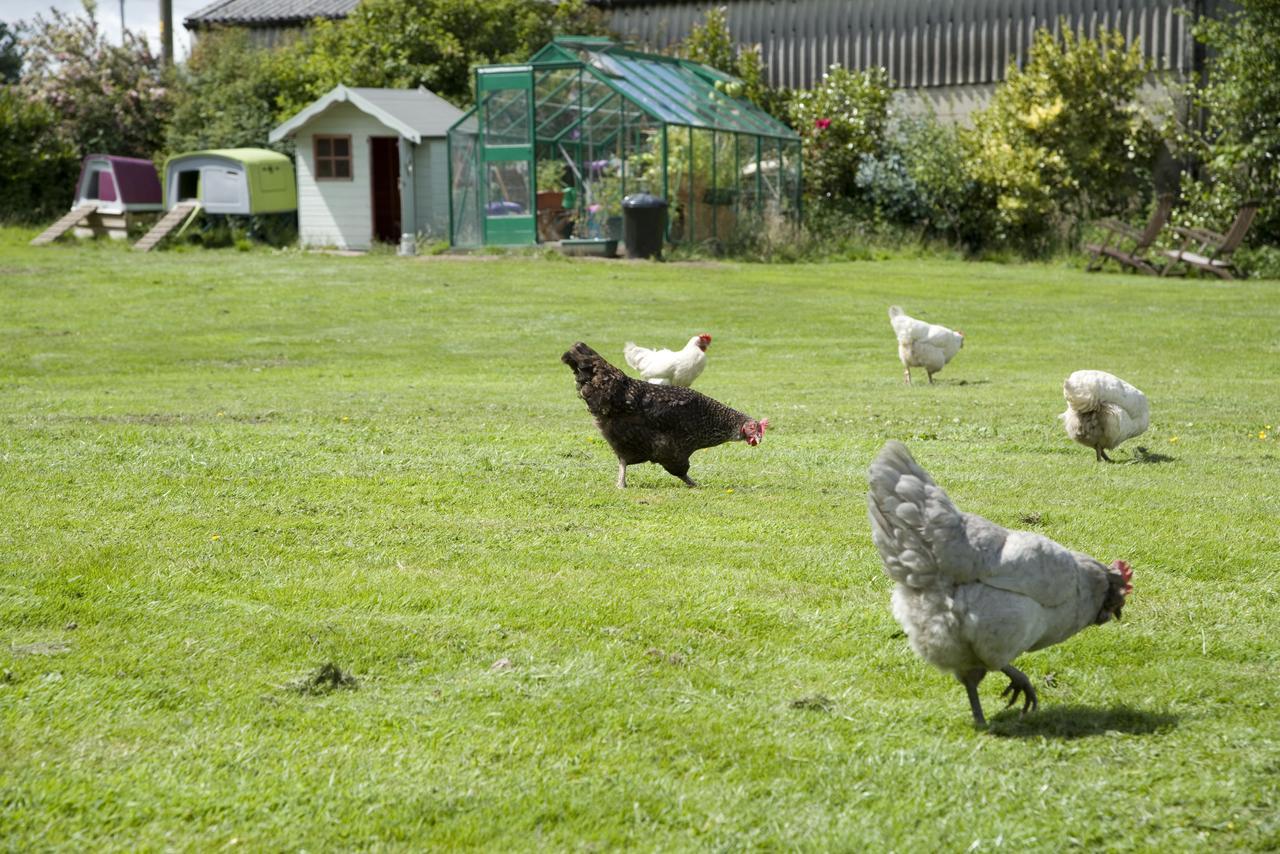 Padley Farm Leilighet Bradfield Eksteriør bilde